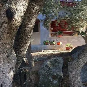 S'umbra De S'ozzastru , Orgosolo Italia